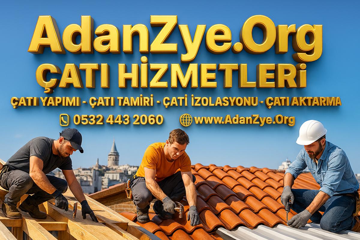 AdanZye.Org Çatı Hizmetleri